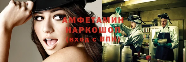 ГАЛЛЮЦИНОГЕННЫЕ ГРИБЫ Аркадак