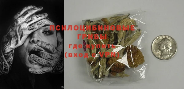 прущая мука Арсеньев