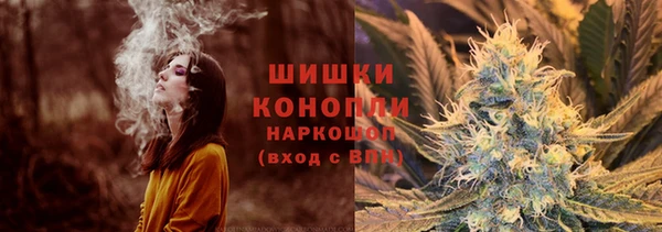 ГАЛЛЮЦИНОГЕННЫЕ ГРИБЫ Аркадак