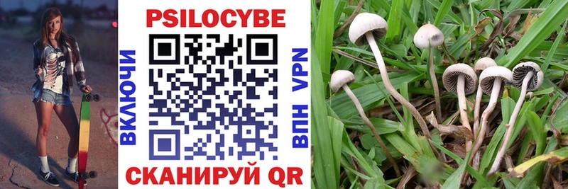 blacksprut ONION  Аша  Псилоцибиновые грибы Magic Shrooms  как найти наркотики 