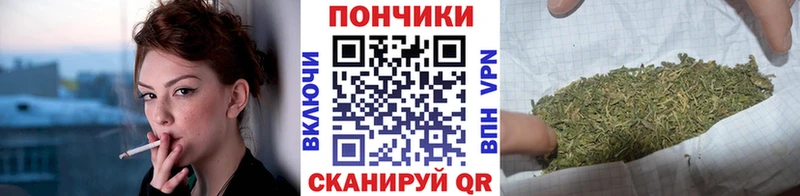 Шишки марихуана Bruce Banner  где купить   Аша 